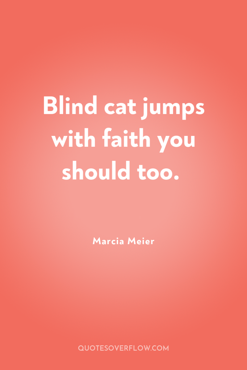 Blind cat jumps with faith you should too. 