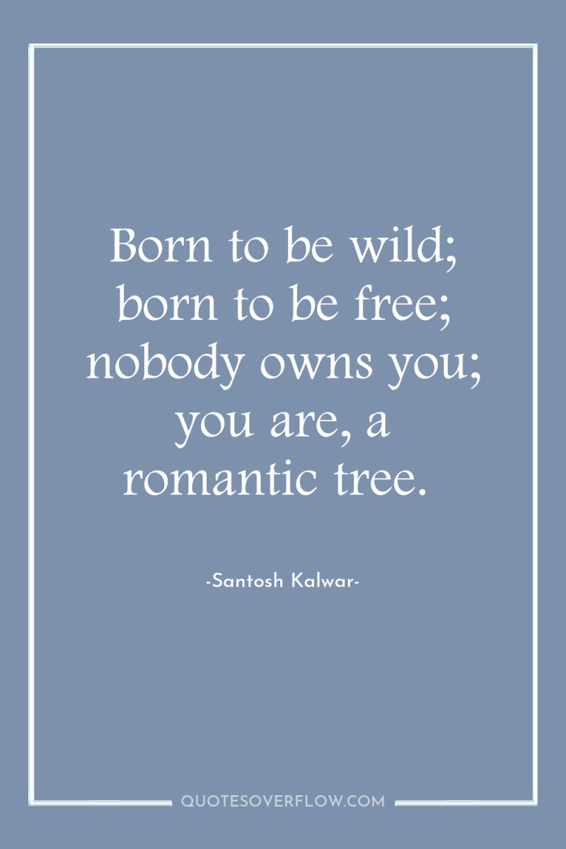 Born to be wild; born to be free; nobody owns...