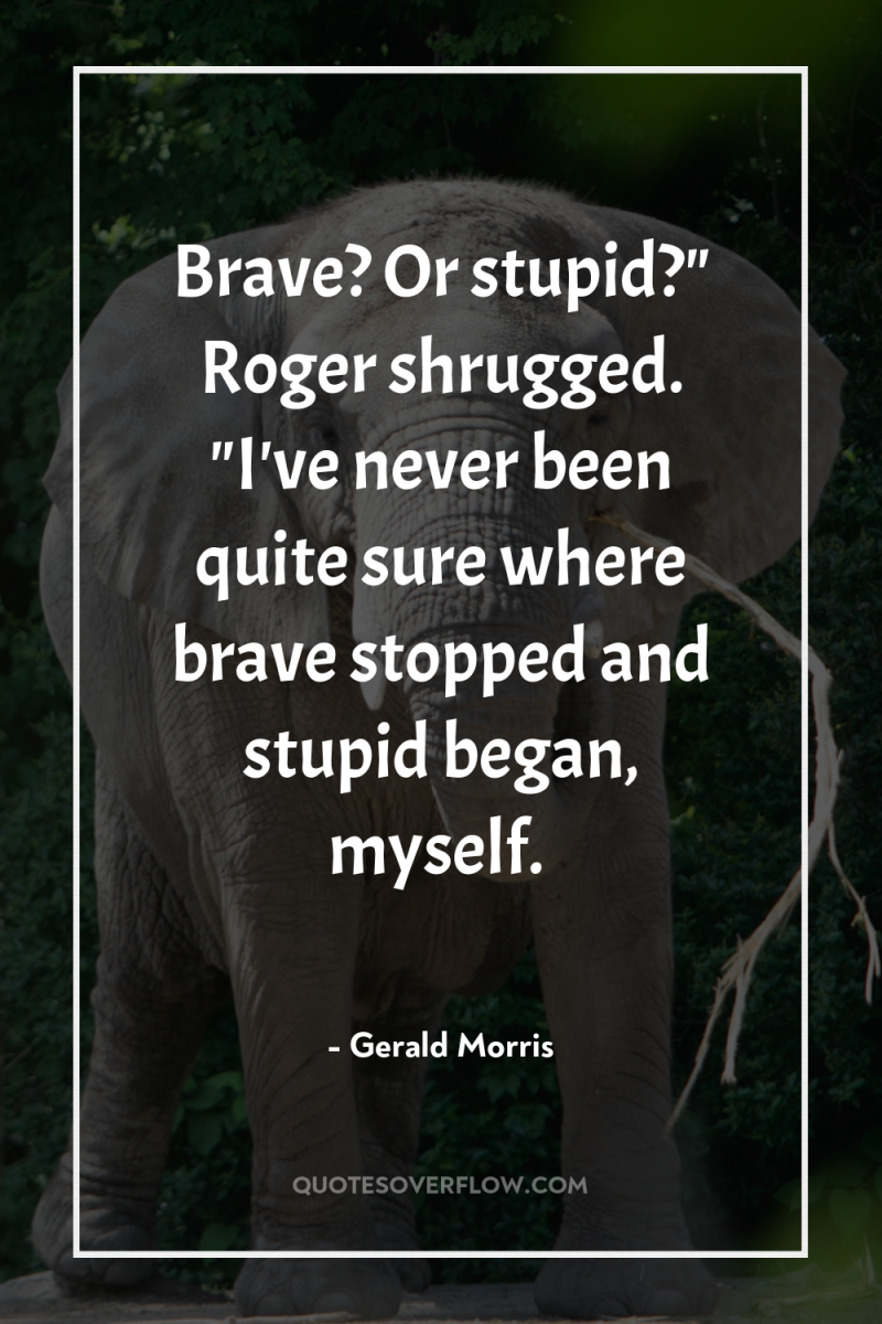 Brave? Or stupid?