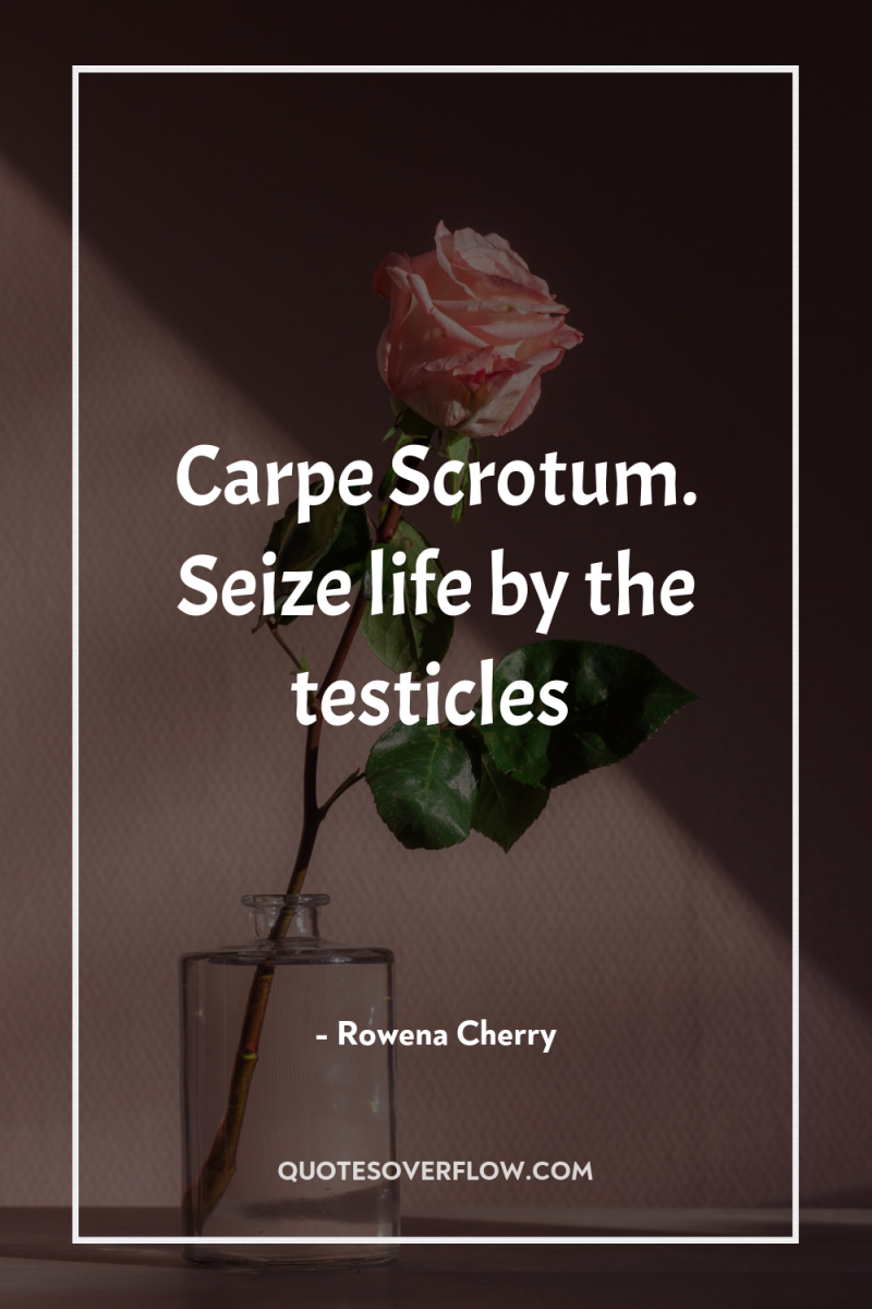 Carpe Scrotum. Seize life by the testicles 