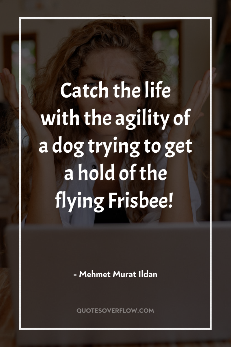 Catch the life with the agility of a dog trying...