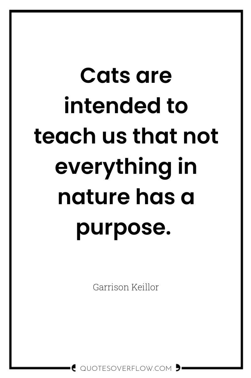 Cats are intended to teach us that not everything in...