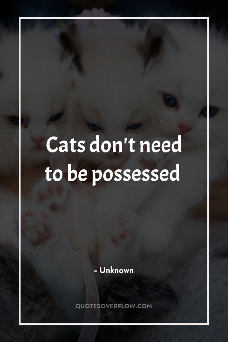 Cats don't need to be possessed 