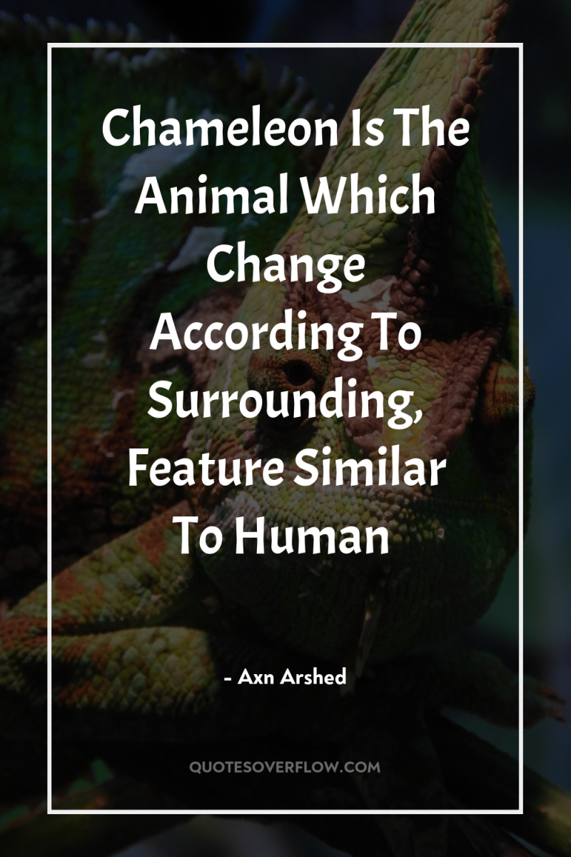 Chameleon Is The Animal Which Change According To Surrounding, Feature...