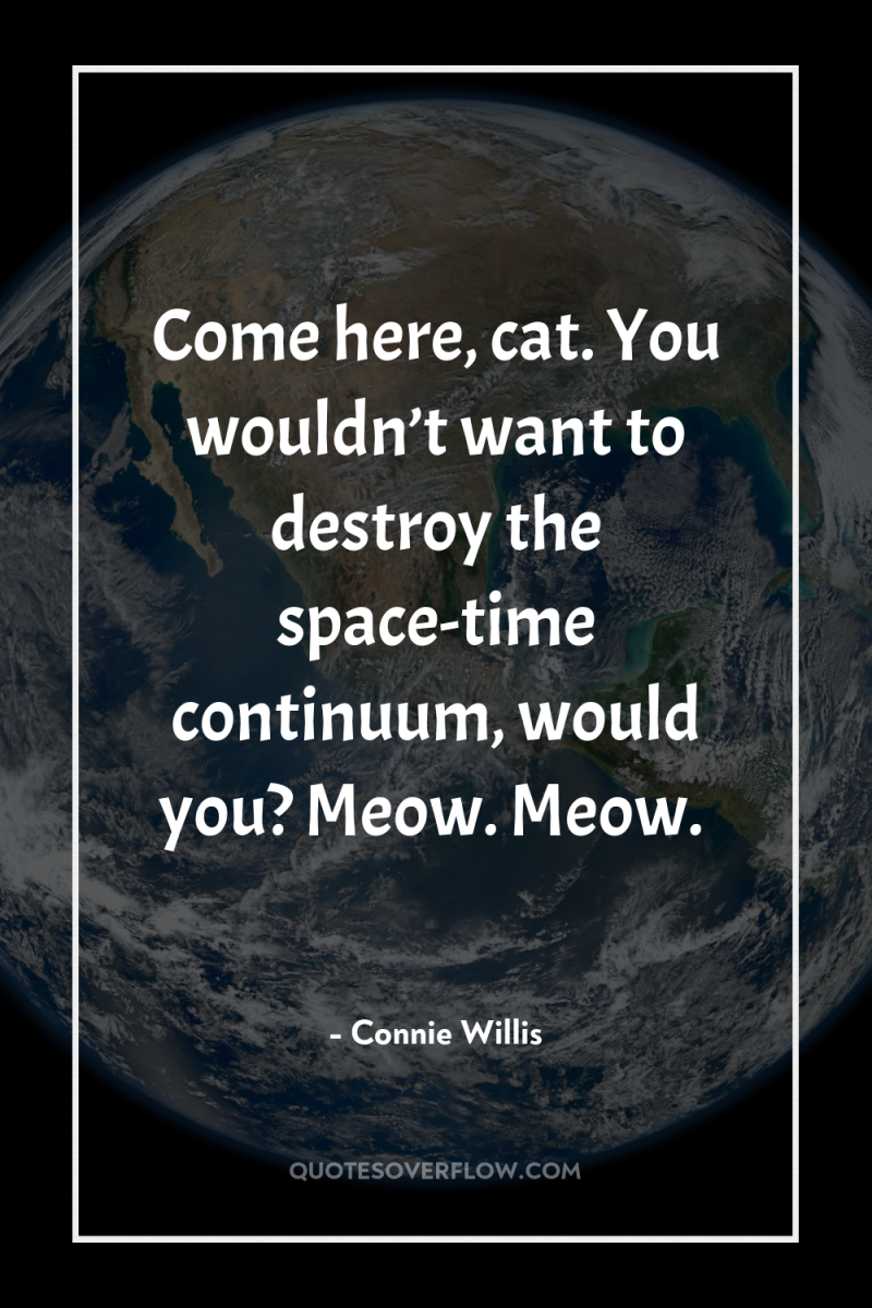 Come here, cat. You wouldn’t want to destroy the space-time...