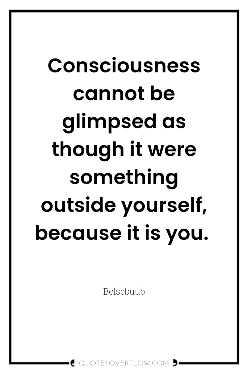 Consciousness cannot be glimpsed as though it were something outside...