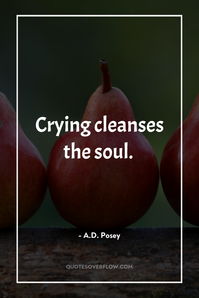 Crying cleanses the soul. 