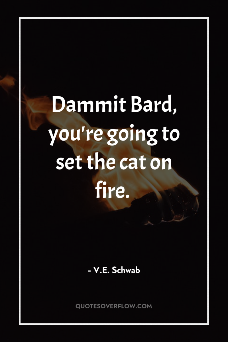 Dammit Bard, you're going to set the cat on fire. 