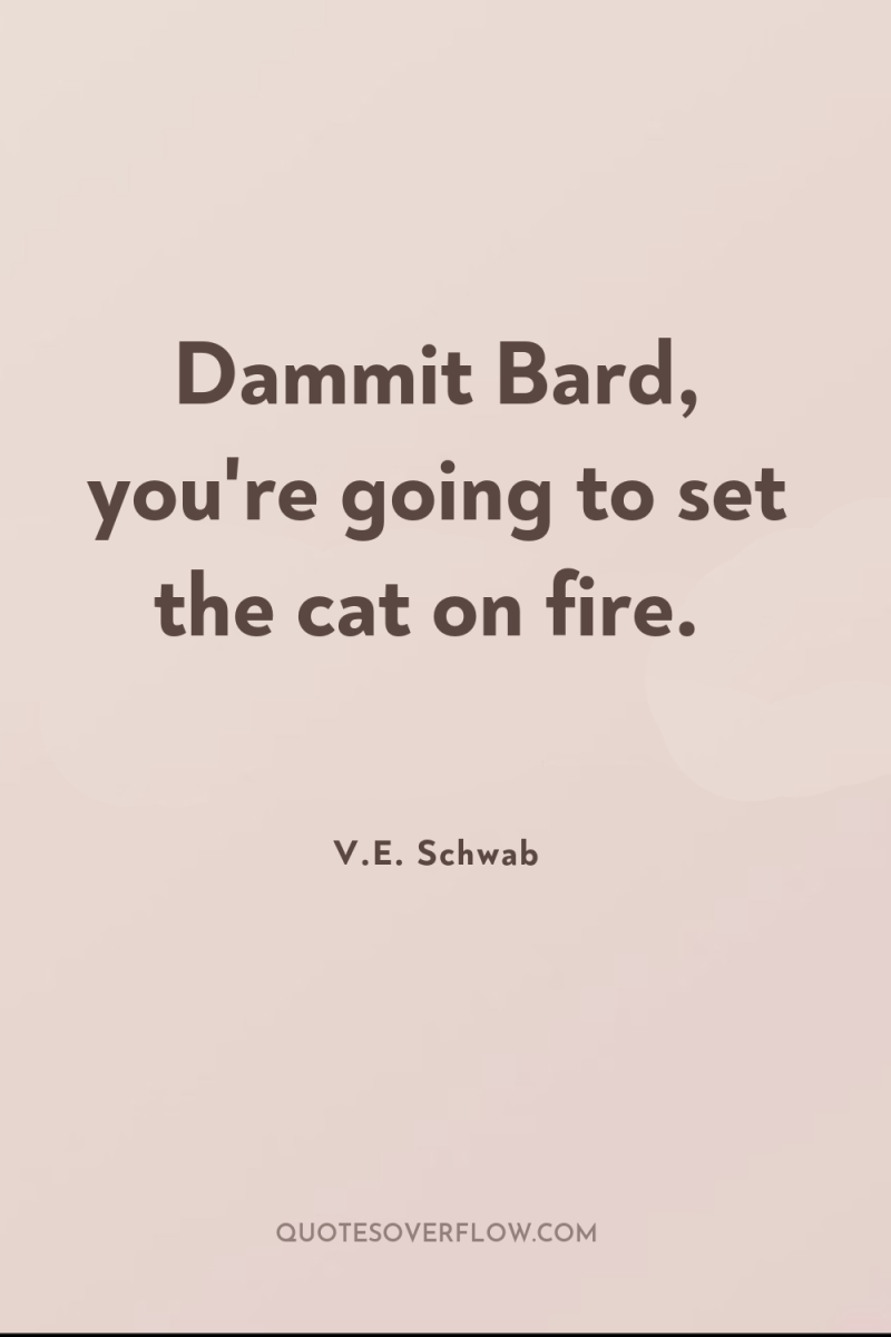Dammit Bard, you're going to set the cat on fire. 