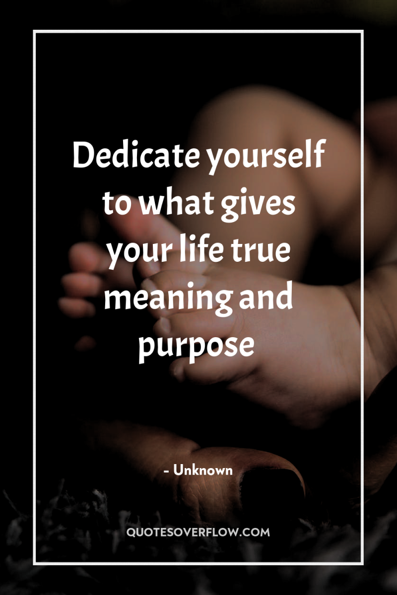 Dedicate yourself to what gives your life true meaning and...