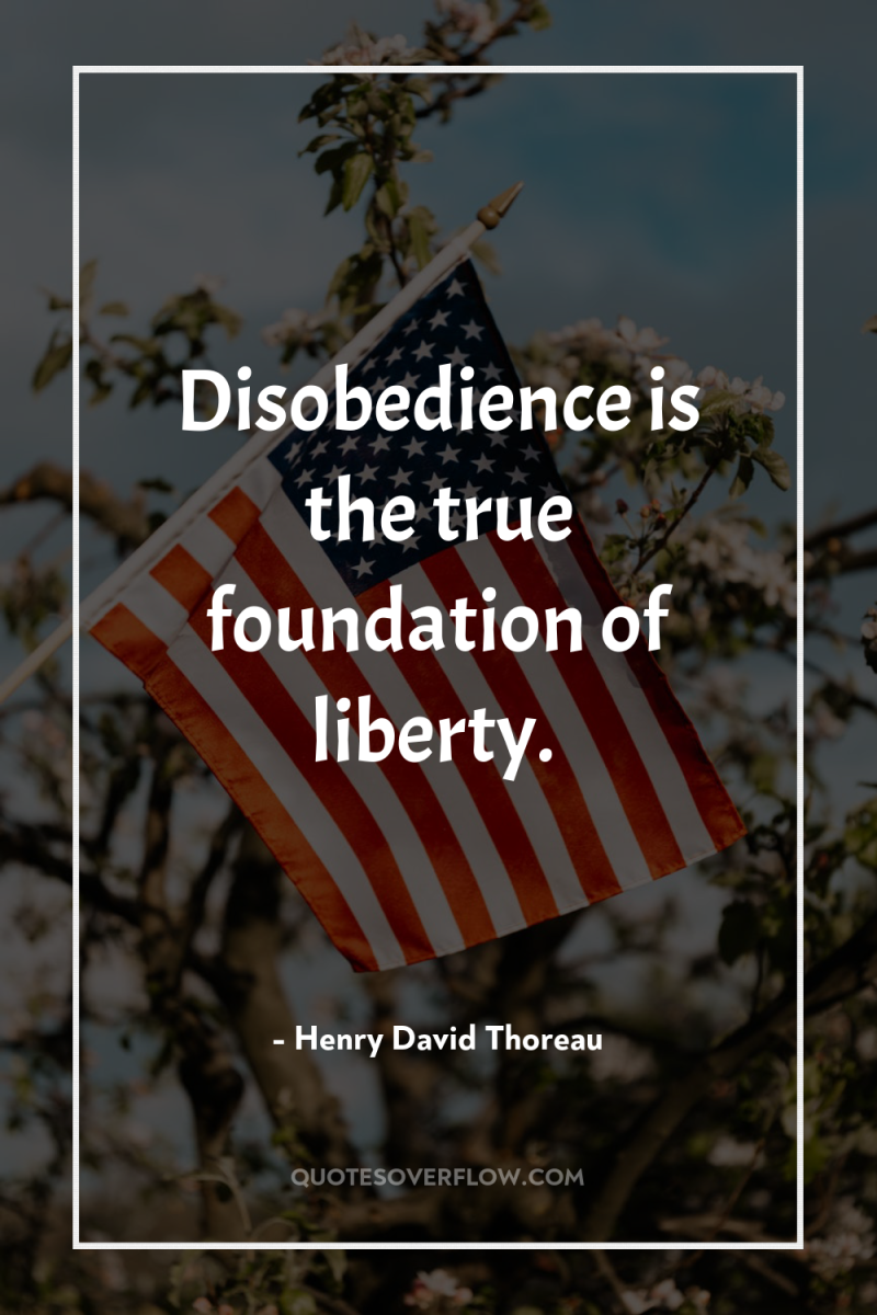 Disobedience is the true foundation of liberty. 