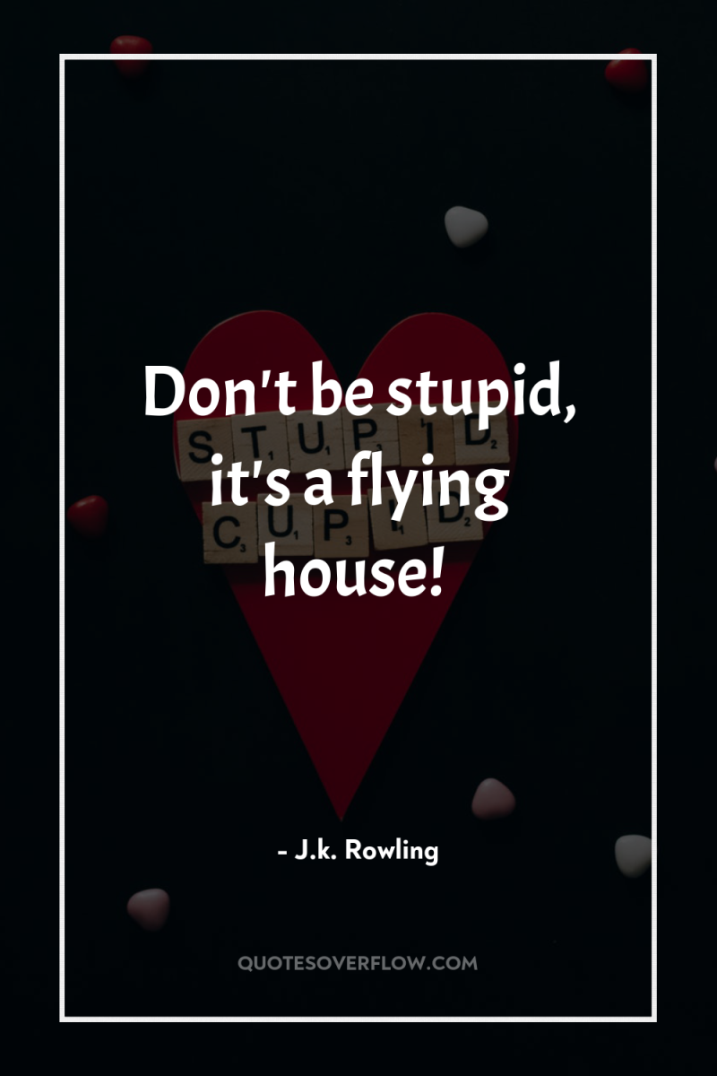 Don't be stupid, it's a flying house! 