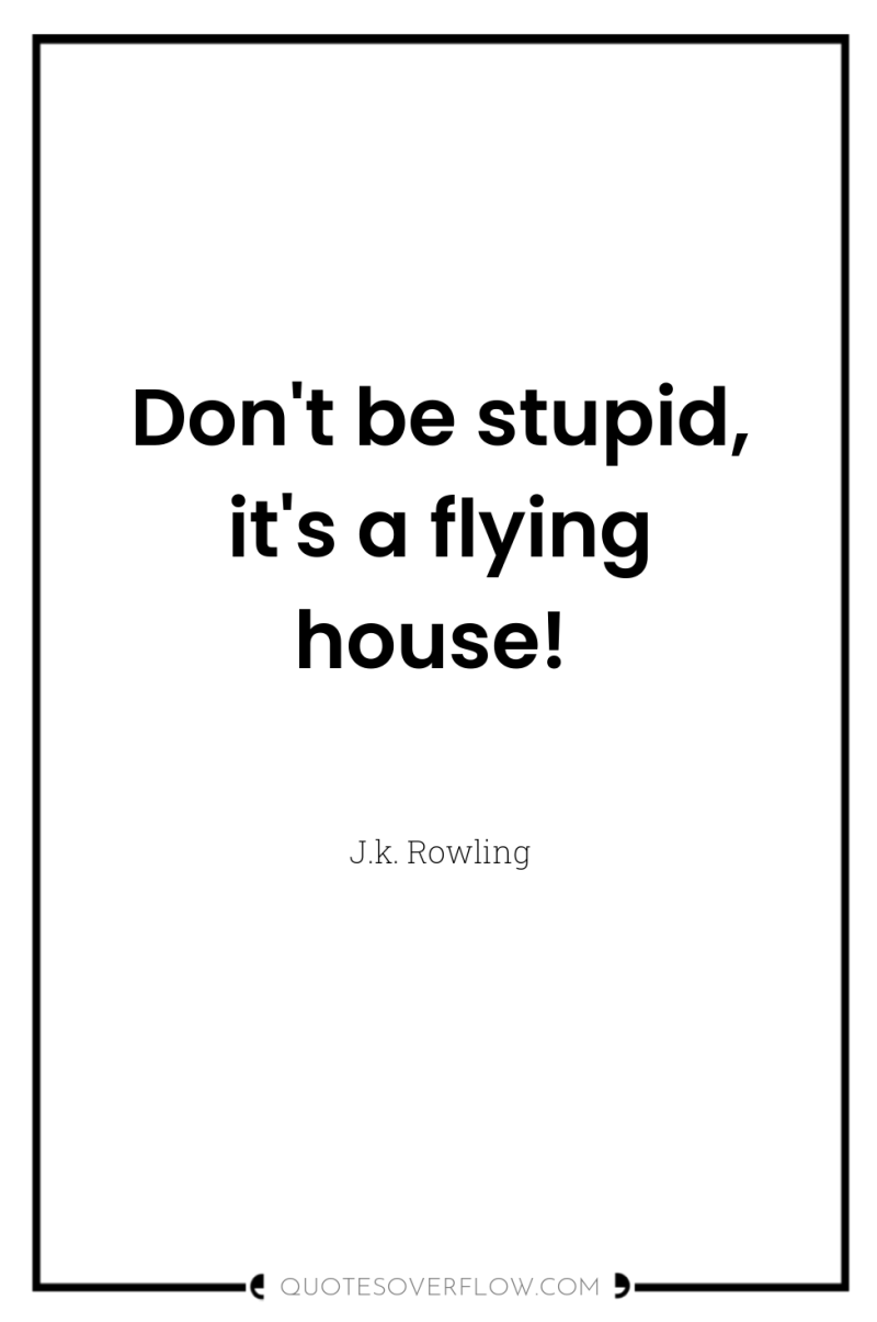Don't be stupid, it's a flying house! 