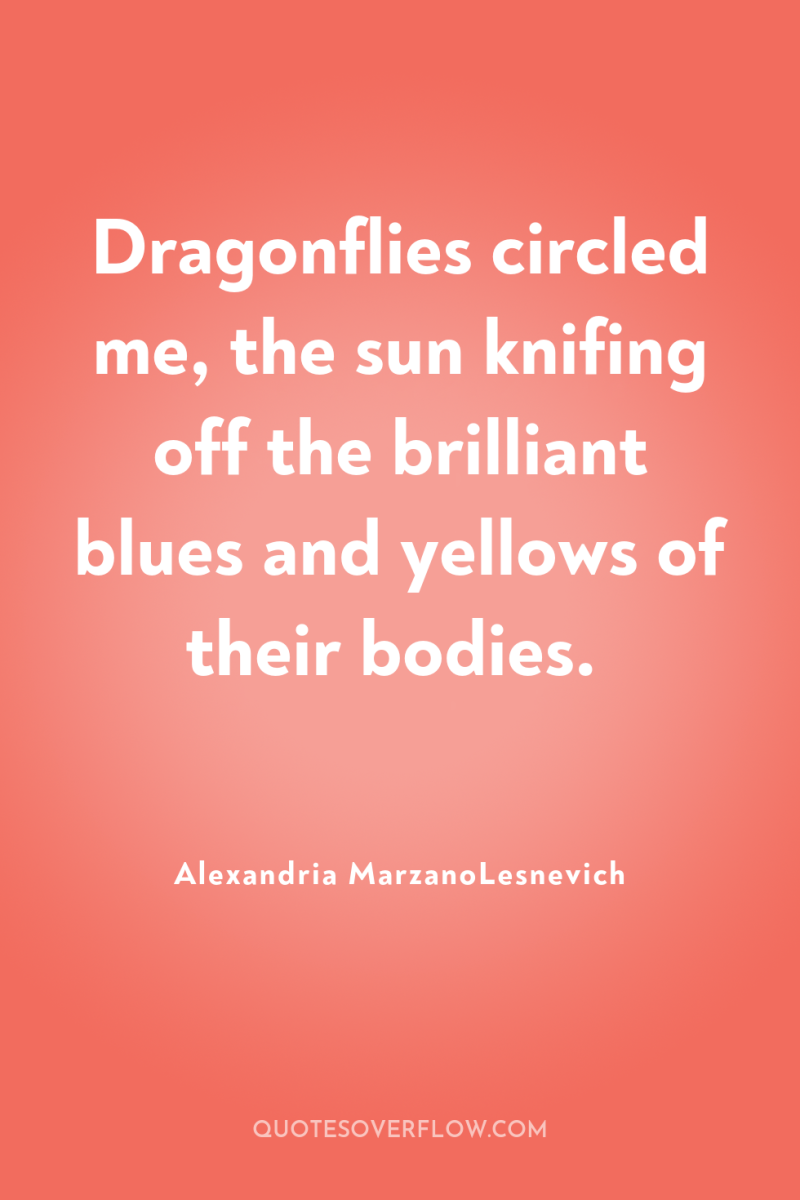 Dragonflies circled me, the sun knifing off the brilliant blues...
