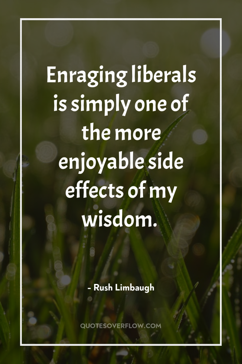 Enraging liberals is simply one of the more enjoyable side...