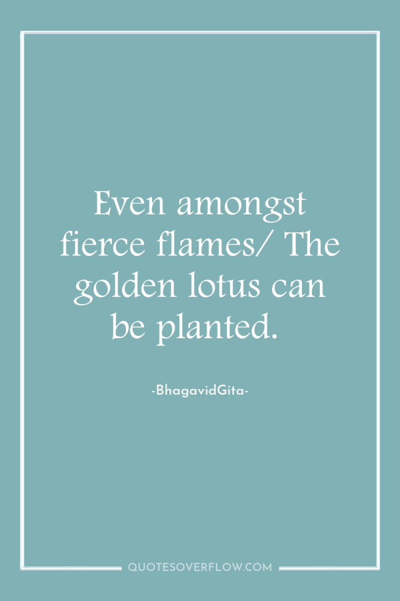 Even amongst fierce flames/ The golden lotus can be planted. 