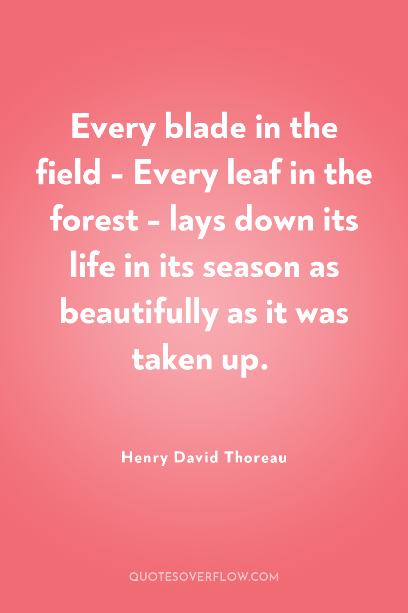 Every blade in the field - Every leaf in the...