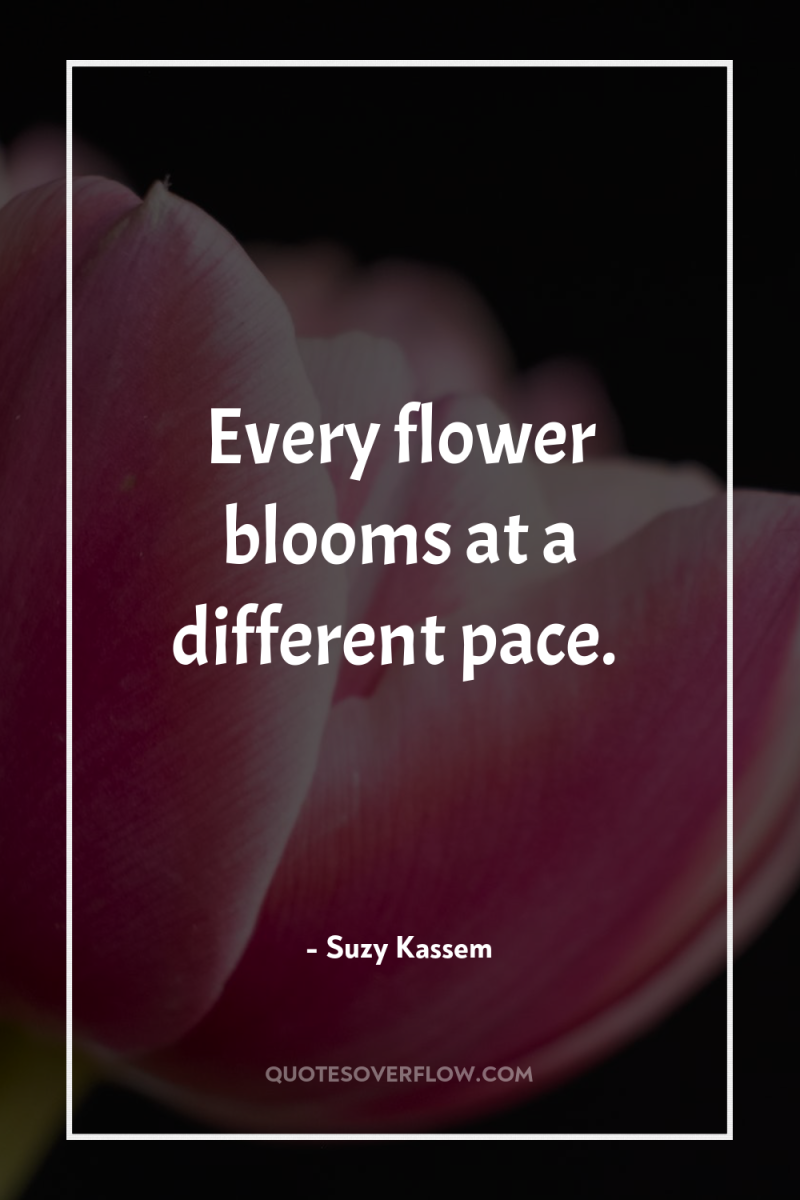 Every flower blooms at a different pace. 