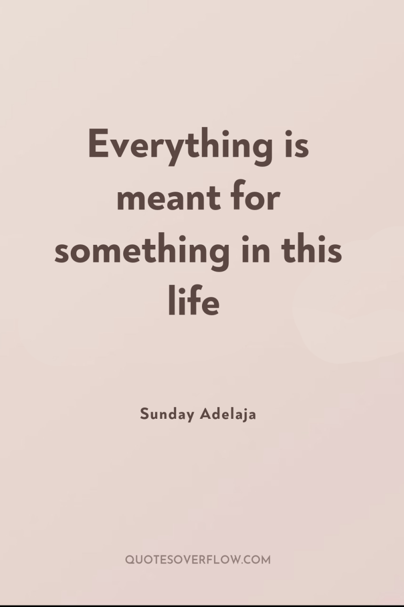 Everything is meant for something in this life 