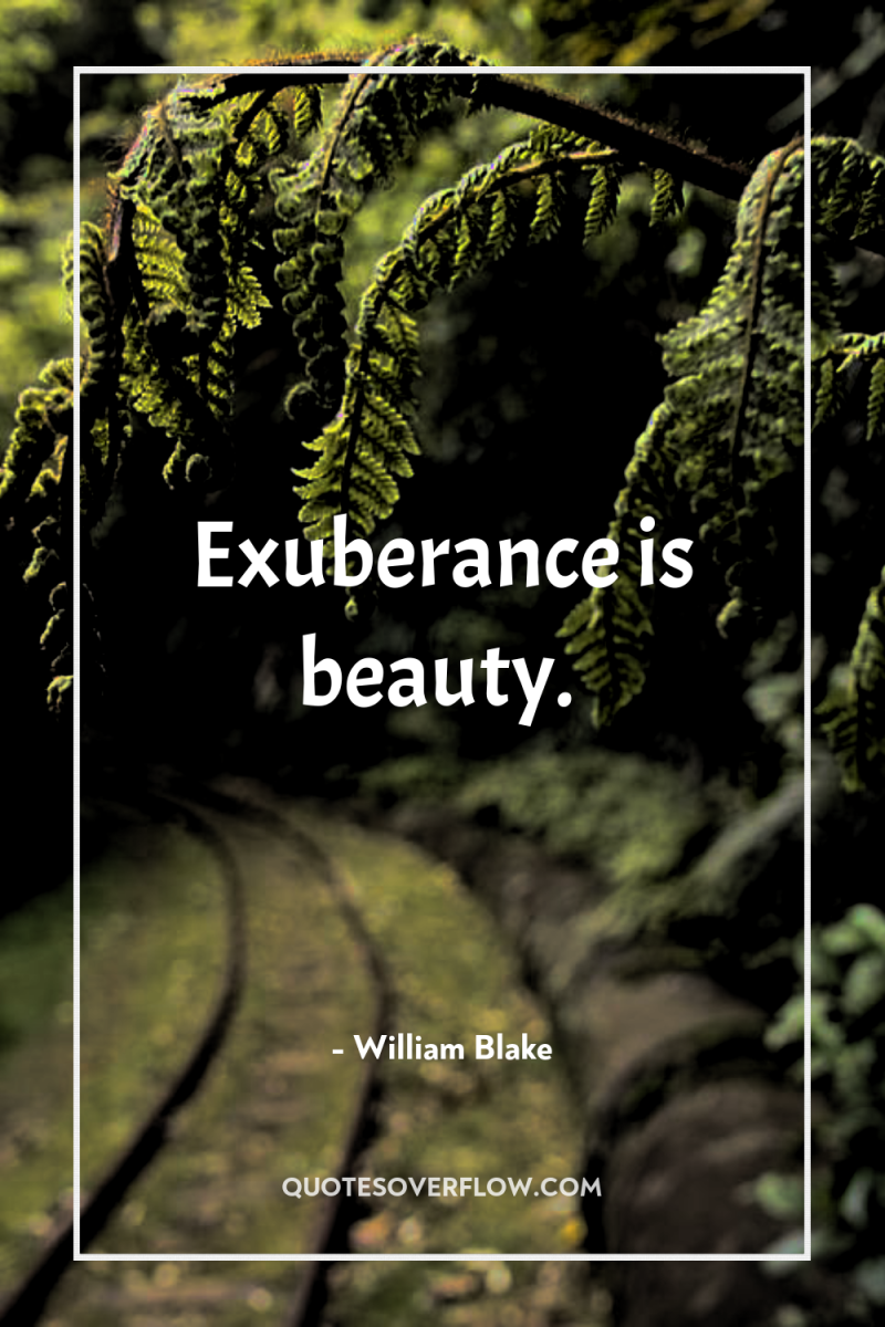 Exuberance is beauty. 