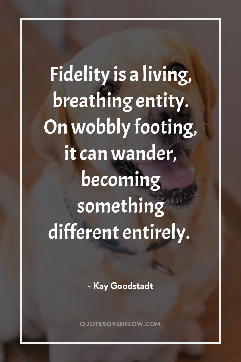 Fidelity is a living, breathing entity. On wobbly footing, it...