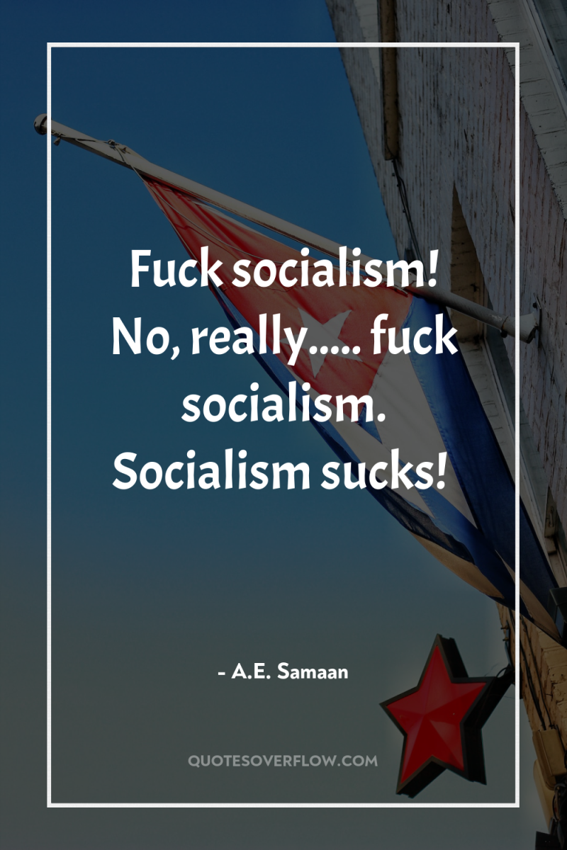 Fuck socialism! No, really..... fuck socialism. Socialism sucks! 
