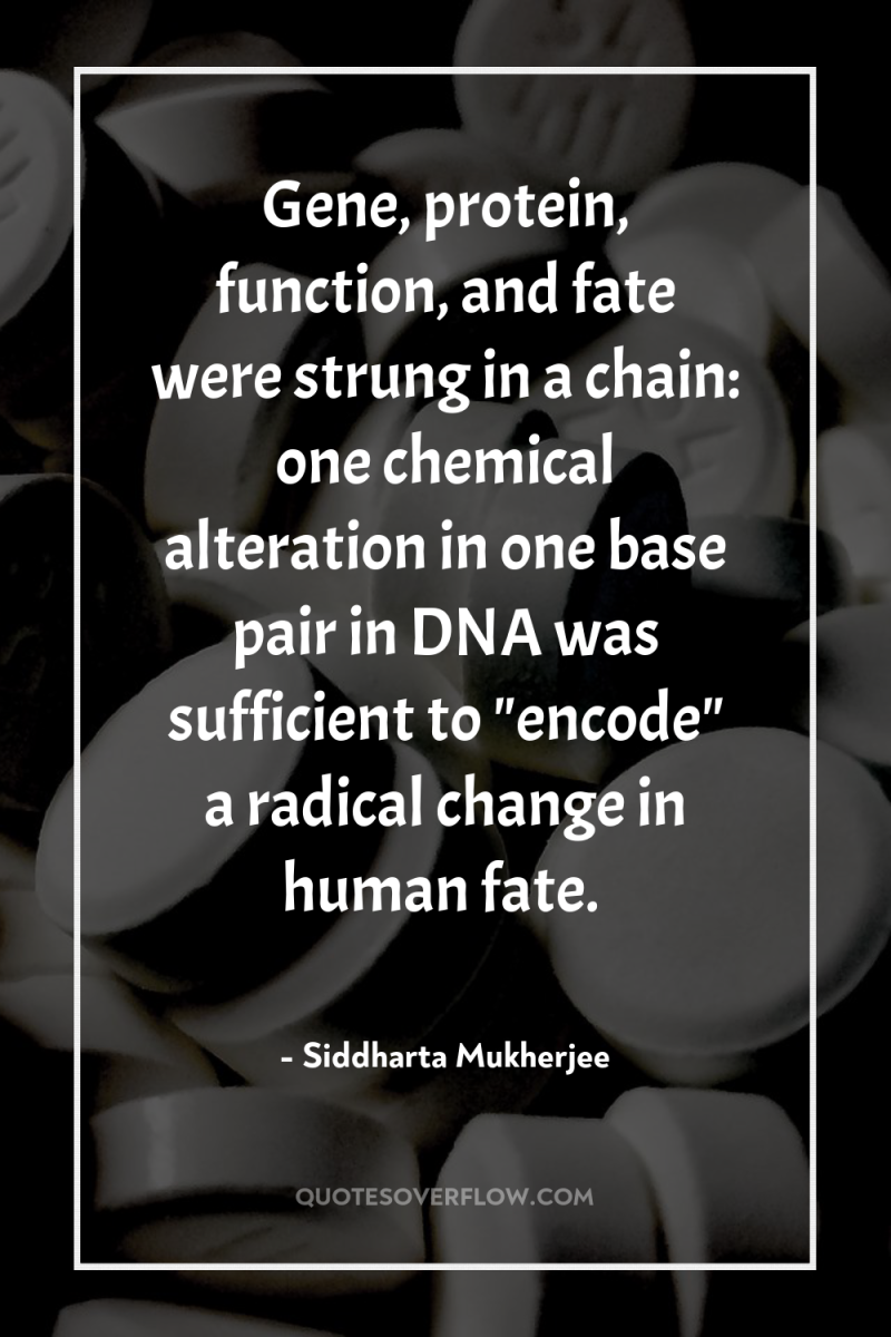 Gene, protein, function, and fate were strung in a chain:...