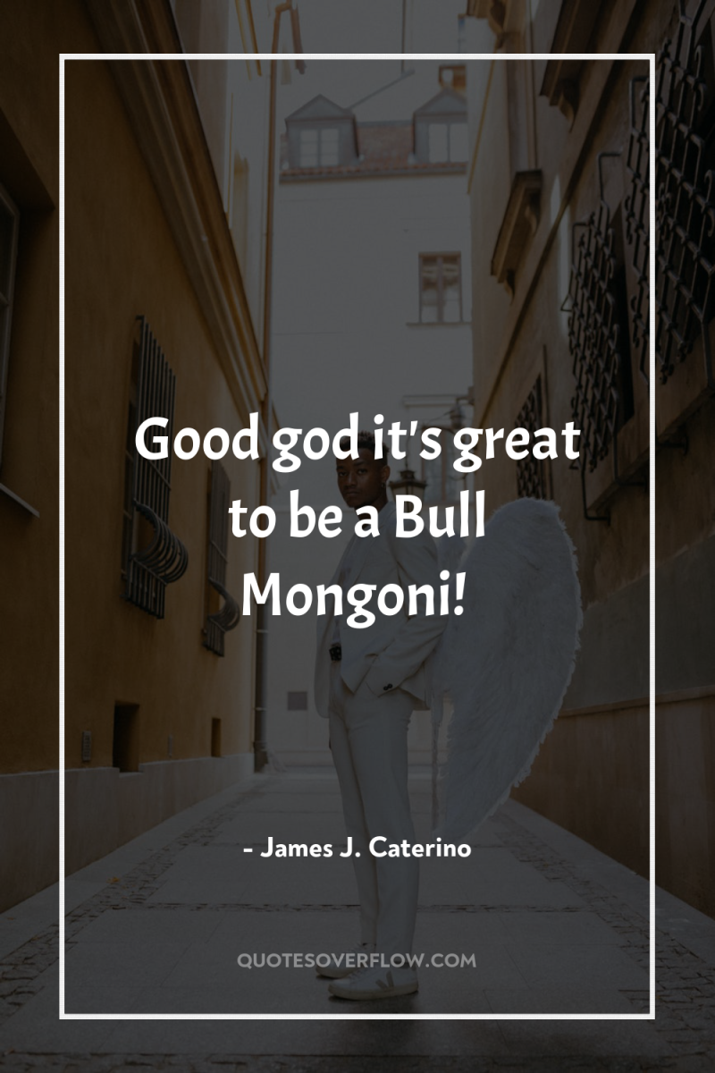 Good god it's great to be a Bull Mongoni! 