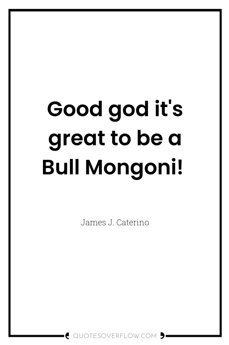Good god it's great to be a Bull Mongoni! 