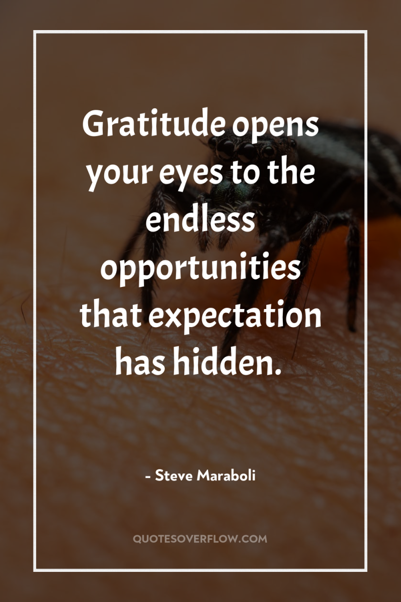 Gratitude opens your eyes to the endless opportunities that expectation...