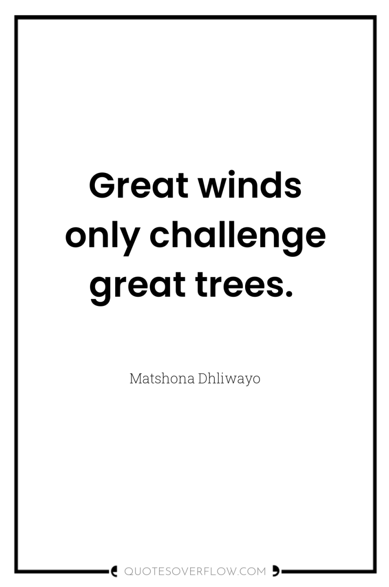 Great winds only challenge great trees. 