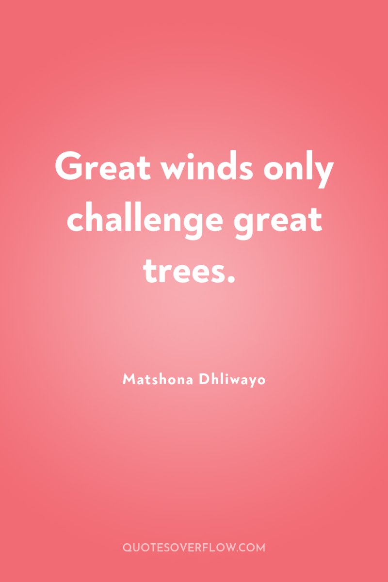 Great winds only challenge great trees. 
