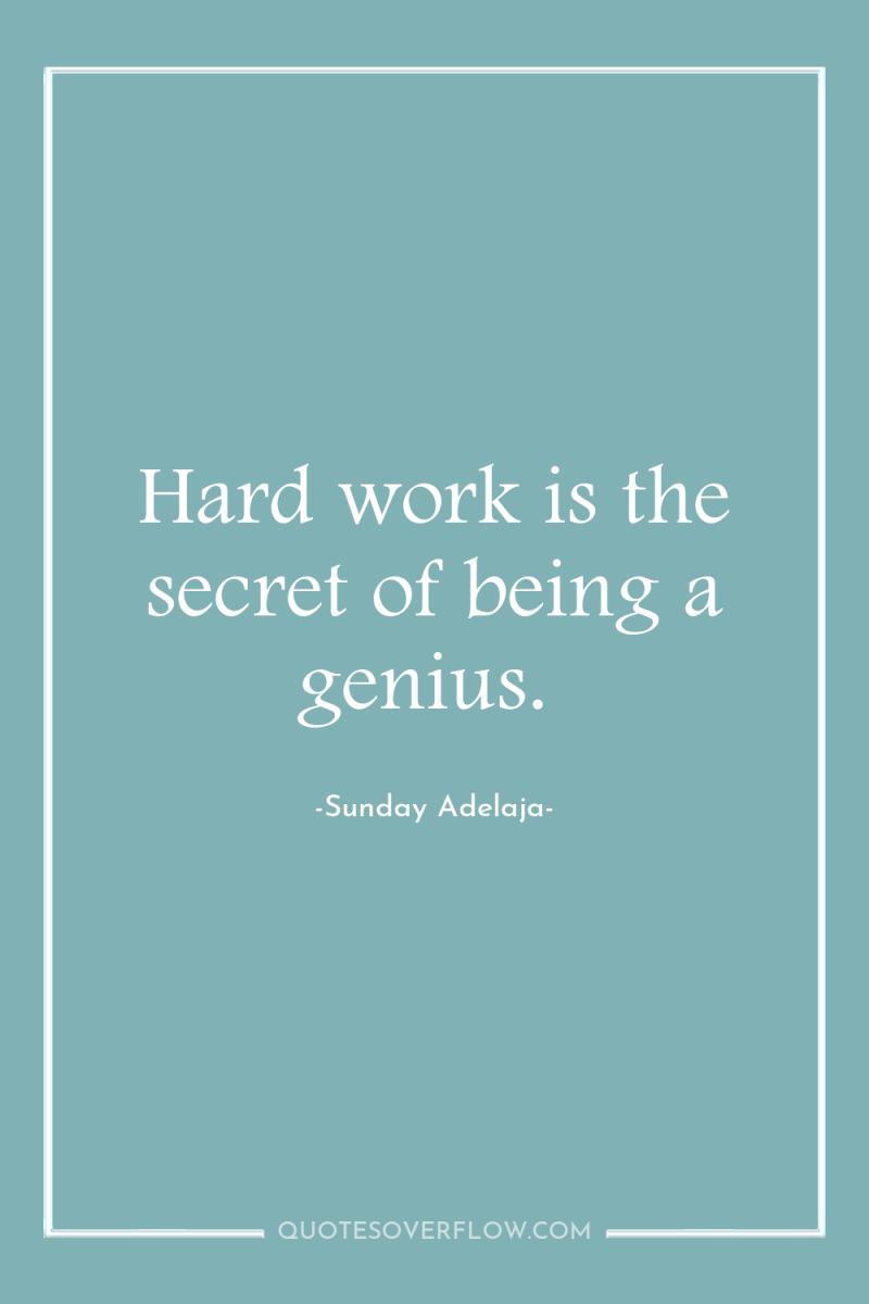 Hard work is the secret of being a genius. 