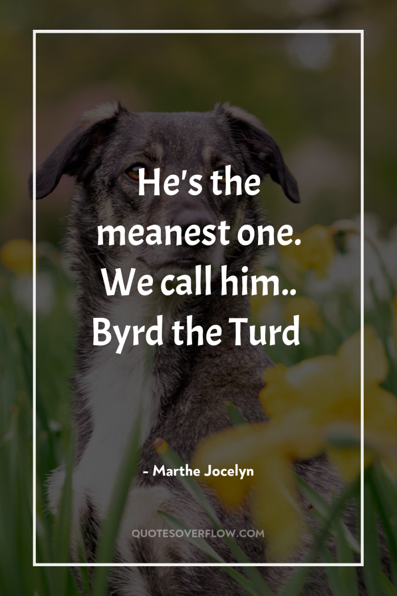 He's the meanest one. We call him.. Byrd the Turd 
