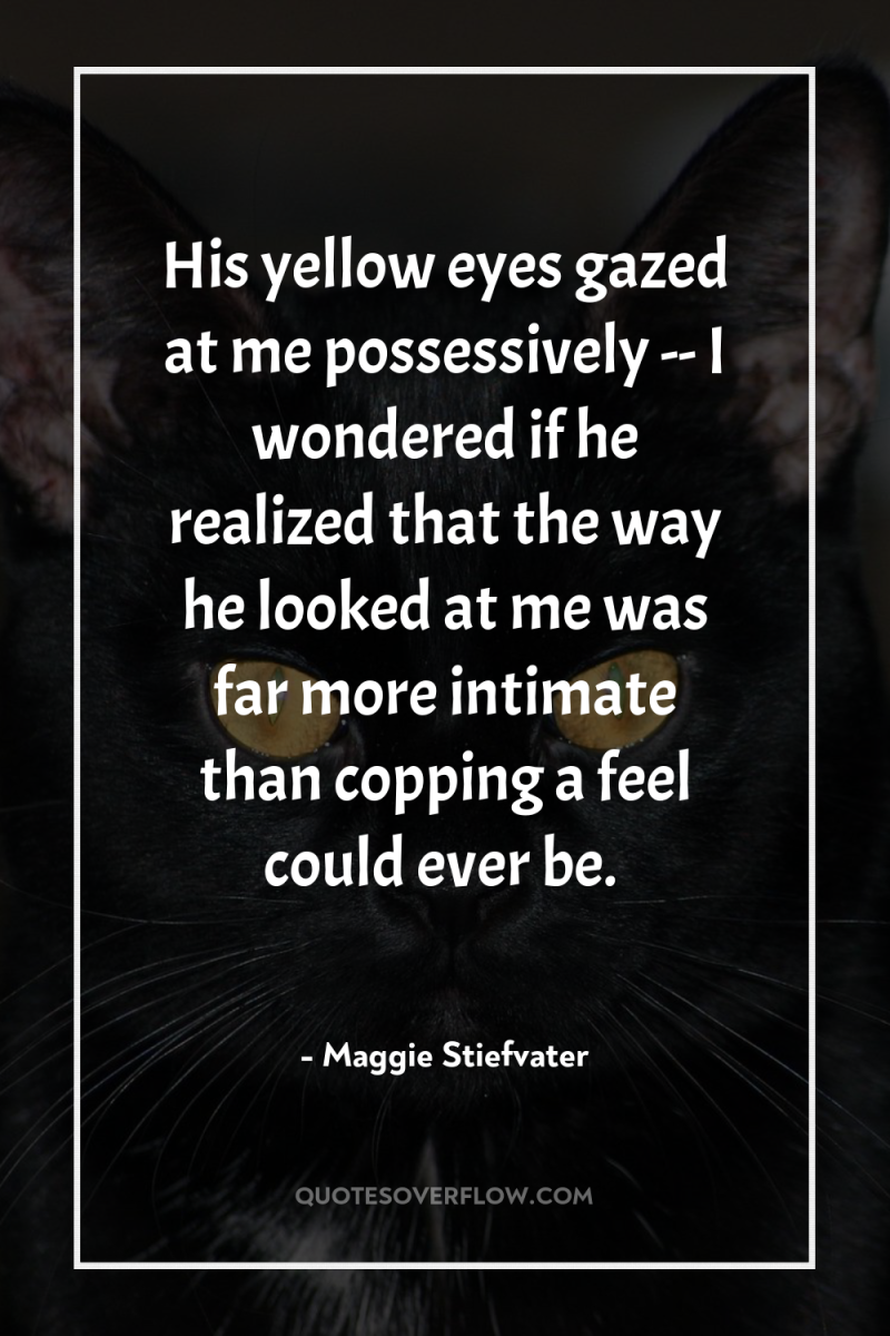 His yellow eyes gazed at me possessively -- I wondered...