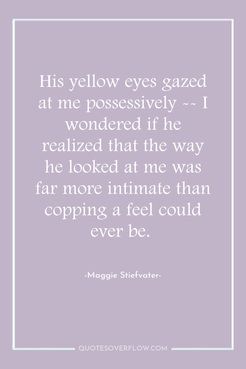 His yellow eyes gazed at me possessively -- I wondered...