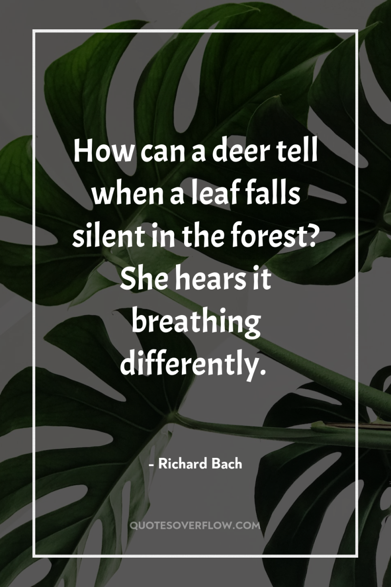How can a deer tell when a leaf falls silent...