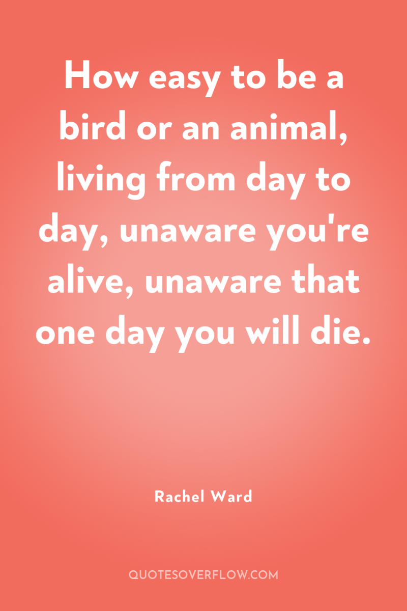 How easy to be a bird or an animal, living...