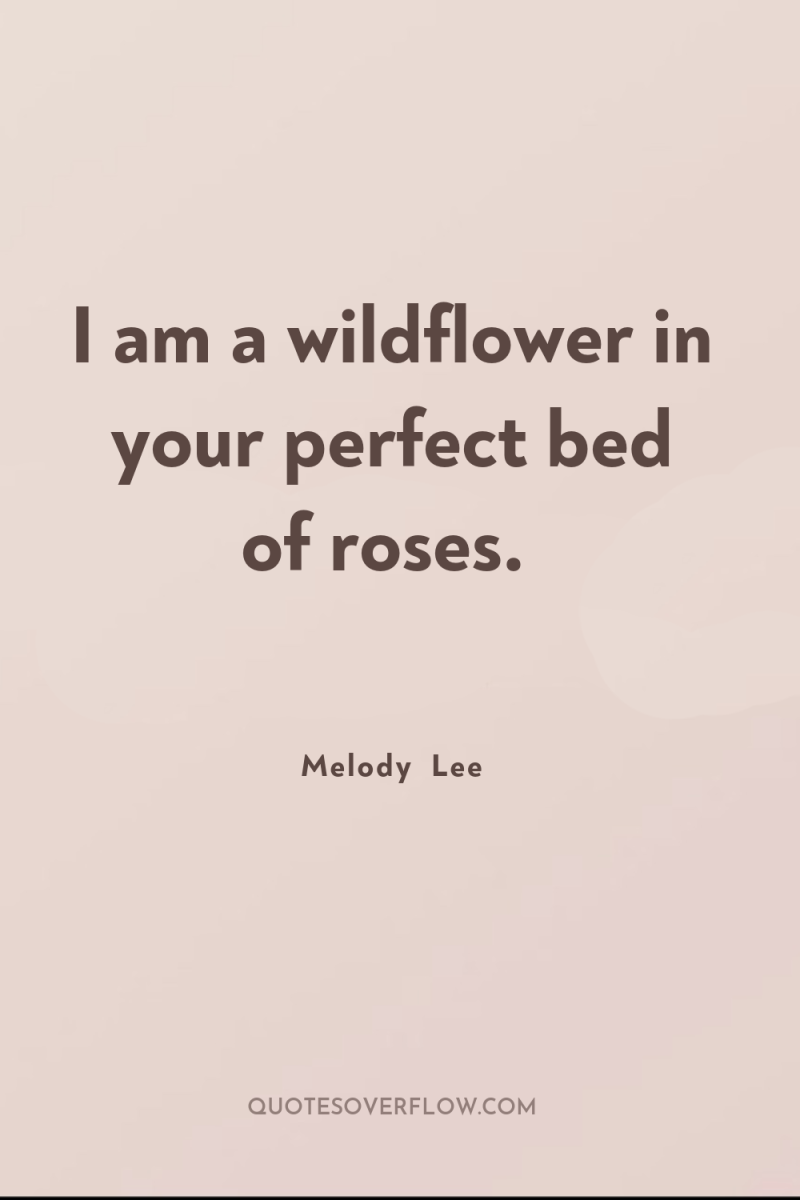 I am a wildflower in your perfect bed of roses. 