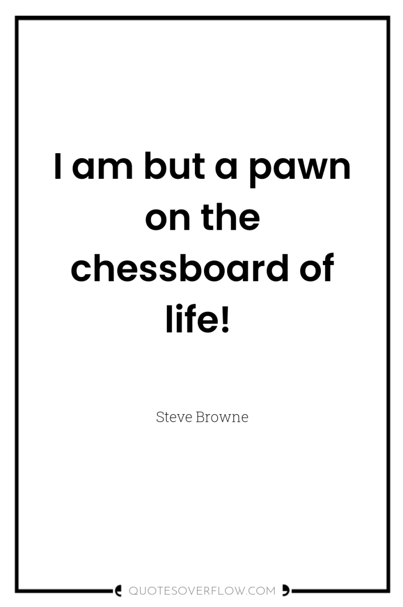 I am but a pawn on the chessboard of life! 