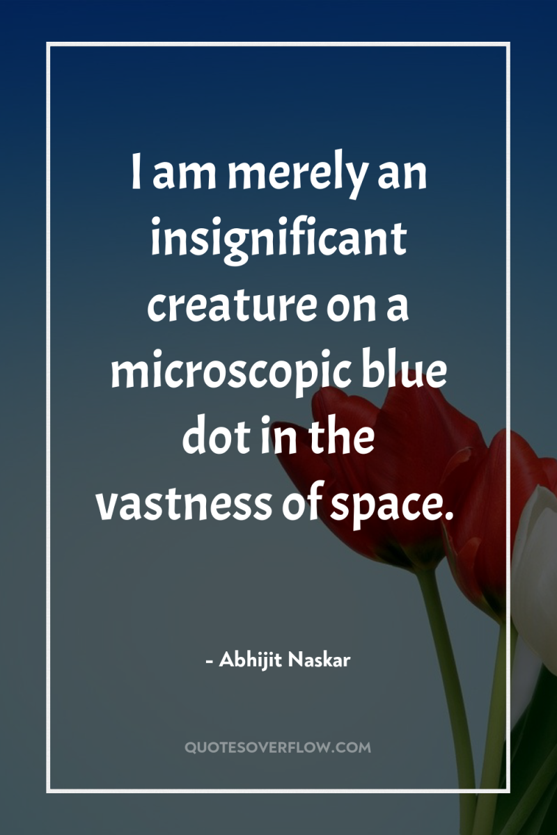 I am merely an insignificant creature on a microscopic blue...