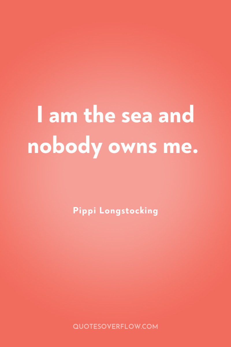 I am the sea and nobody owns me. 
