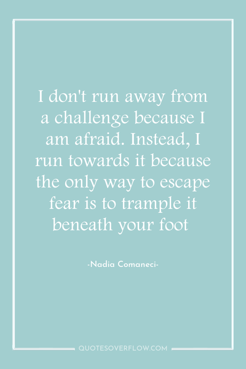 I don't run away from a challenge because I am...
