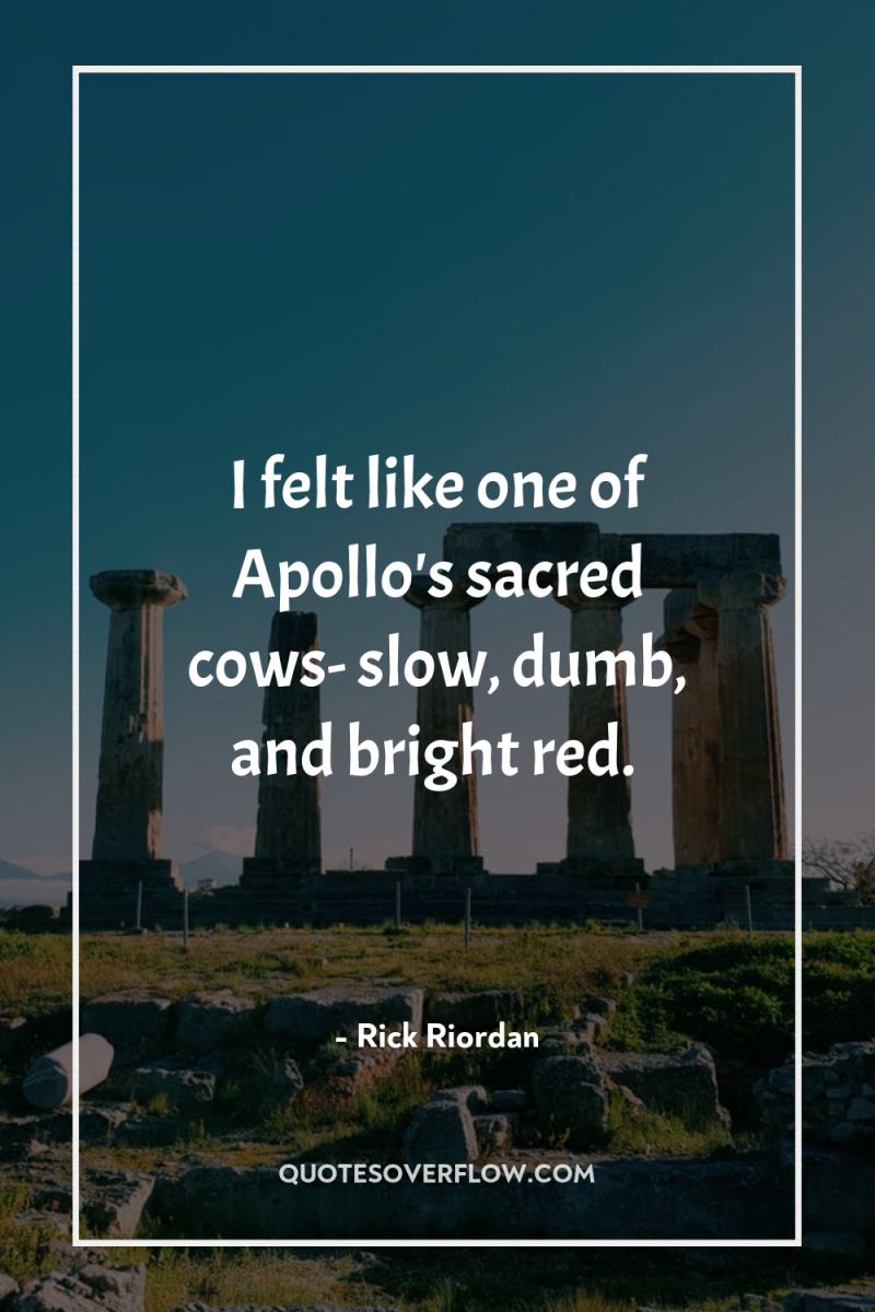 I felt like one of Apollo's sacred cows- slow, dumb,...