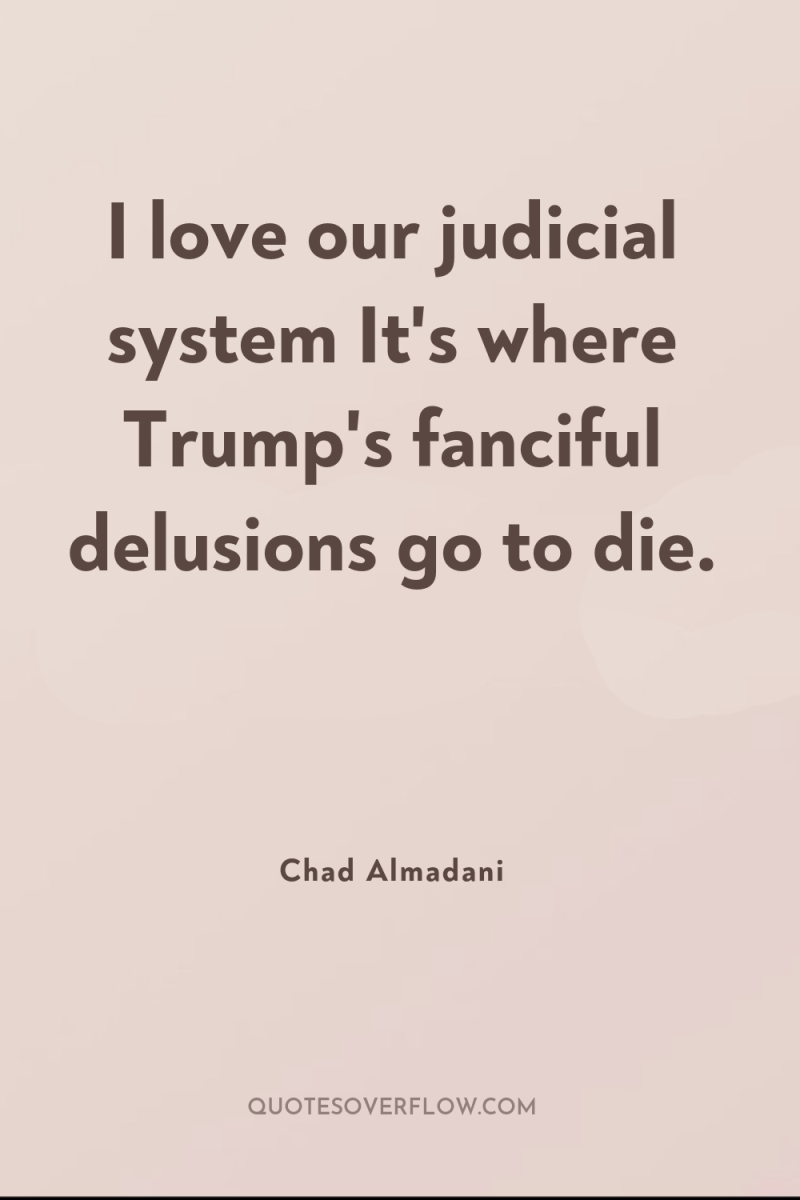 I love our judicial system It's where Trump's fanciful delusions...