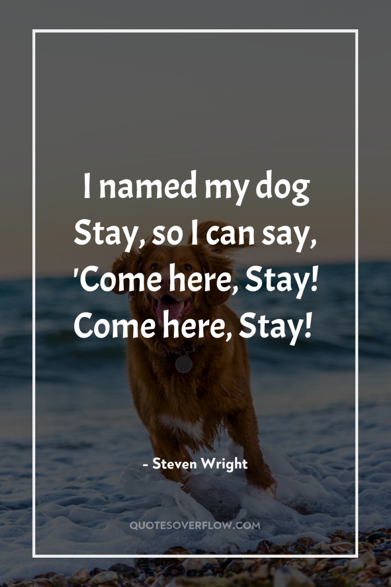 I named my dog Stay, so I can say, 'Come...