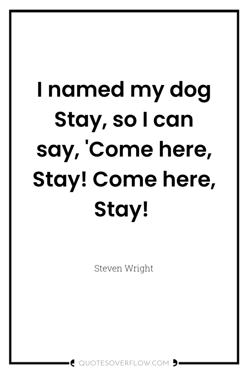 I named my dog Stay, so I can say, 'Come...