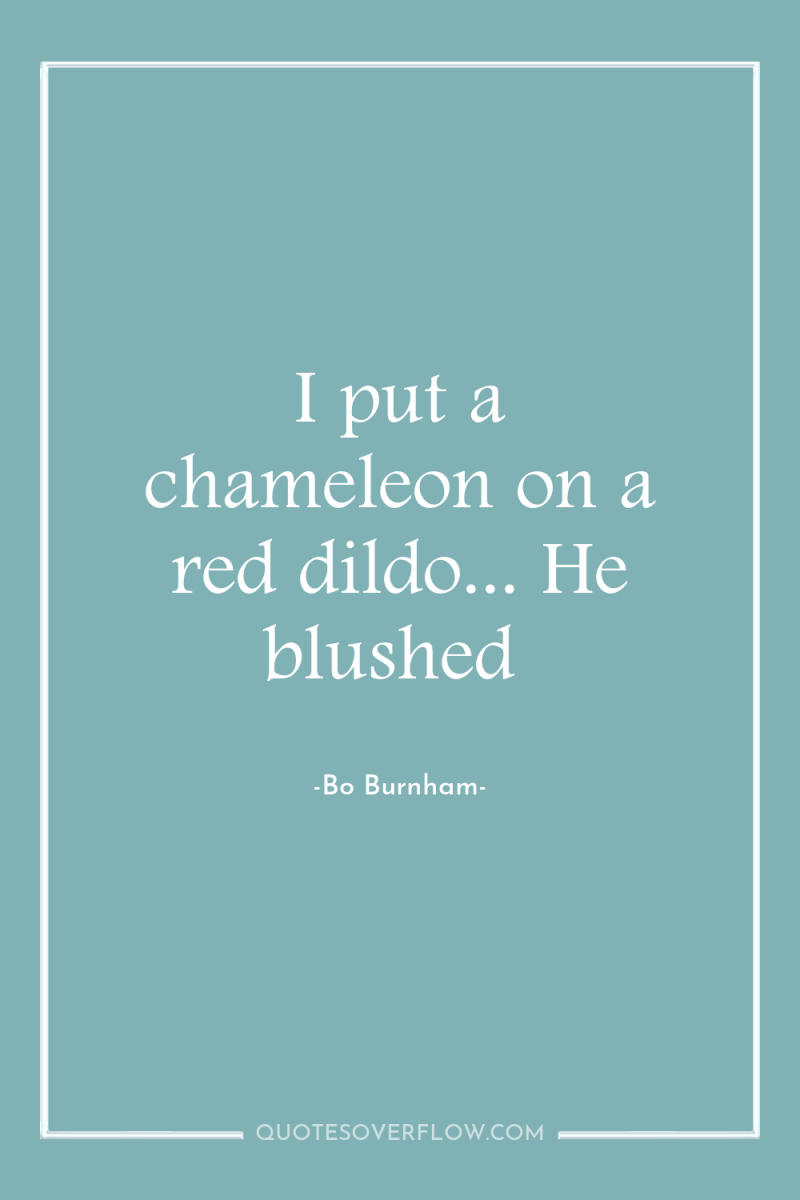 I put a chameleon on a red dildo... He blushed 