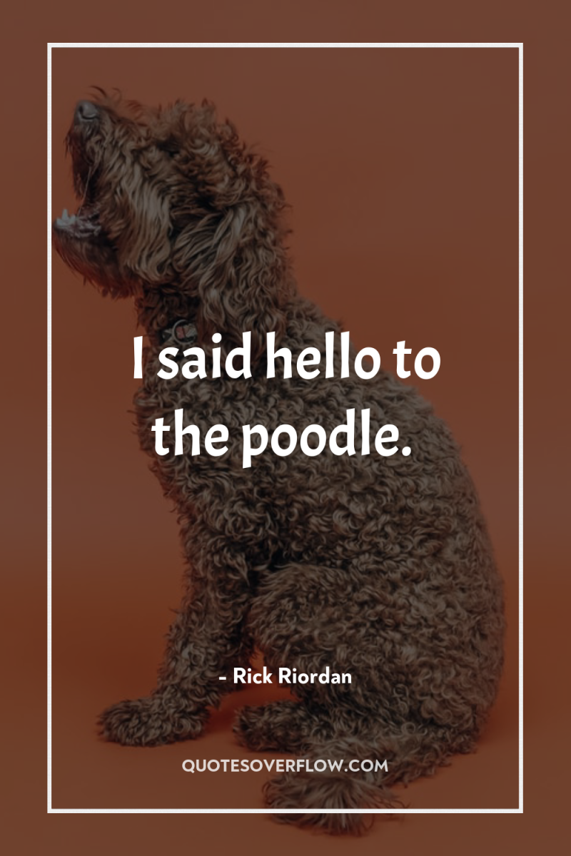 I said hello to the poodle. 