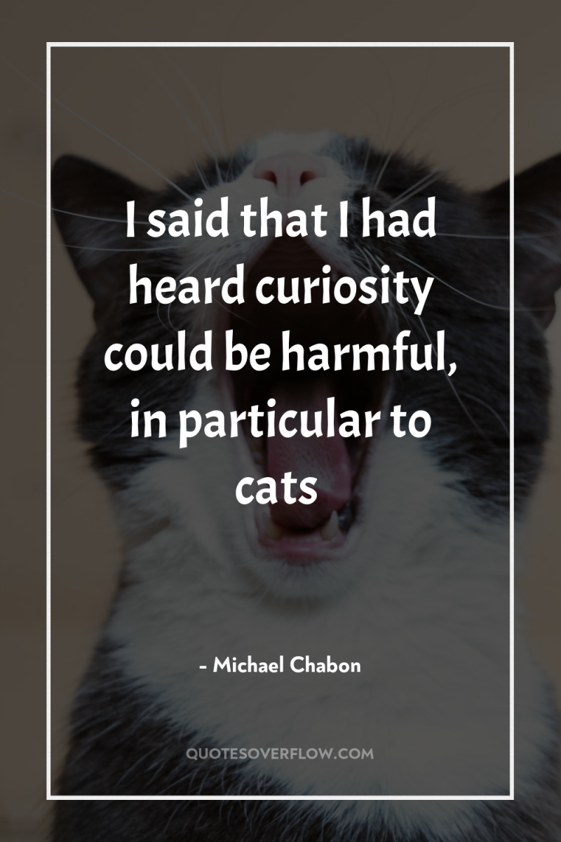 I said that I had heard curiosity could be harmful,...